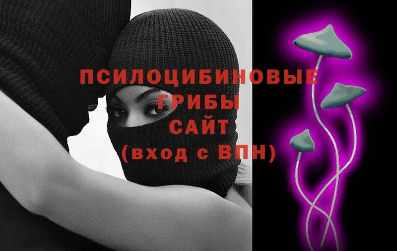 магазин  наркотиков  Венёв  KRAKEN зеркало  Галлюциногенные грибы Psilocybine cubensis 